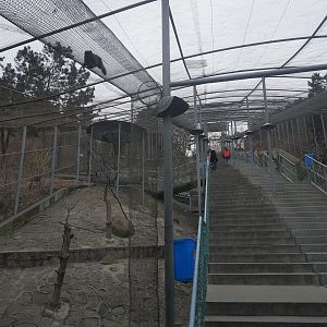 Walkthrough Aviary (with squirrel trails)