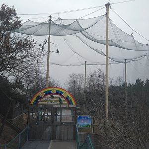 Bird of Prey Walkthrough Aviary