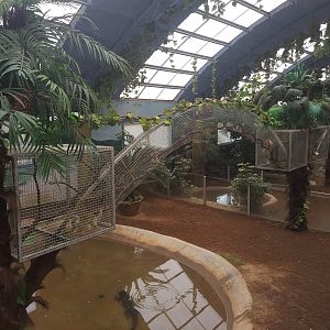 Squirrel Monkey Exhibit