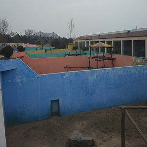 Primate Outdoor Exhibits