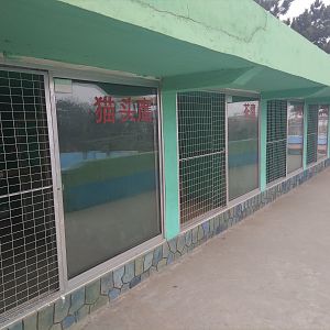 Bird of Prey Aviaries