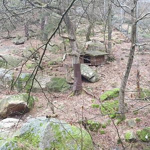 Snow leopard enclosure