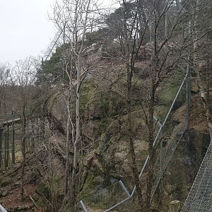 Persian leopard enclosure