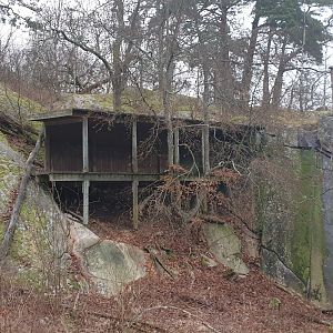 Siberian tiger enclosure