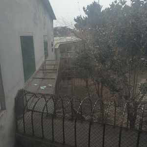 Monkey Access Chutes