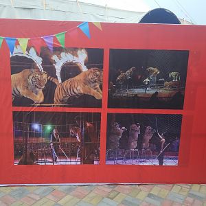Circus Signage