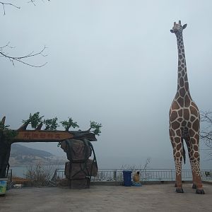 Giraffe Statue