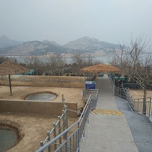 Asian Elephant On The Left, Rhino On The Right