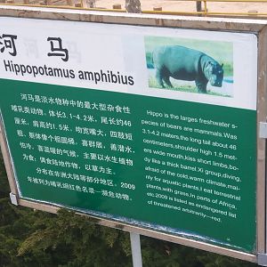 Hippo Signage