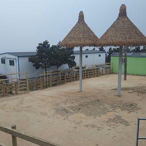 Giraffe Exhibit