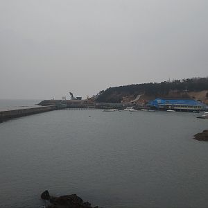View Of Harbour, Pinniped Exhibits And Risso's Dolphin House