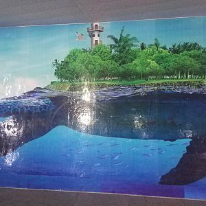 Turtle Island Signage