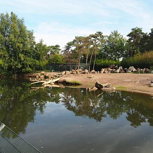 Hippopotamus, Nile lechwe and marabou exhibit, 2019-09-15