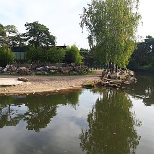 Hippopotamus, Nile lechwe and marabou exhibit, 2019-09-15