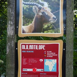 Nile lechwe information signage, 2019-09-15