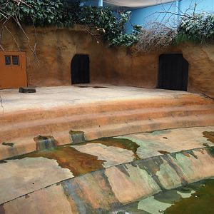 Indoor hippopotamus exhibit, 2019-09-15