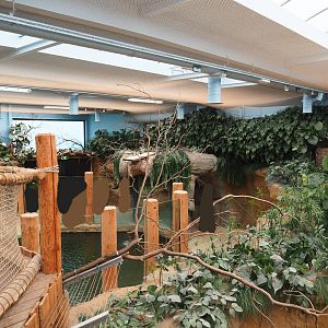 Viewing areas in the hippopotamus and Nile crocodile house, 2019-09-15
