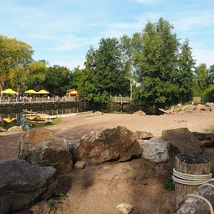 Hippopotamus, Nile lechwe and marabou exhibit, 2019-09-15