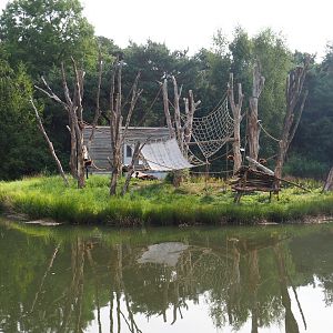 Red ruffed lemur island, 2019-09-15