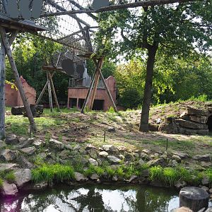 Indian sloth bear, corsac fox and Asian small-clawed otter exhibit, 2019-09-15