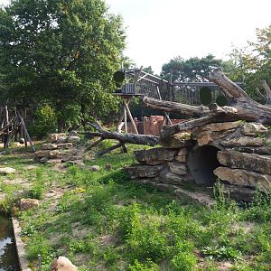 Indian sloth bear, corsac fox and Asian small-clawed otter exhibit, 2019-09-15
