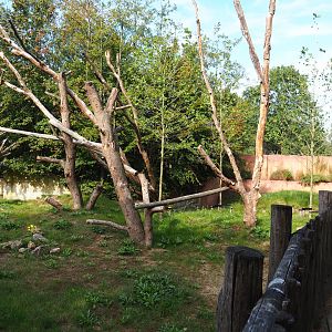 Nearly finished new red panda and Asian small-clawed otter exhibit, 2019-09-15