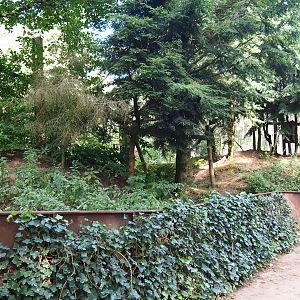 Red panda exhibit, 2019-09-15