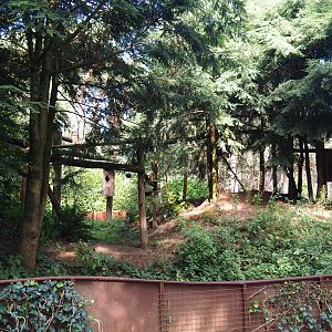 Red panda exhibit, 2019-09-15