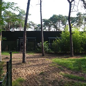 Okapi house, 2019-09-15