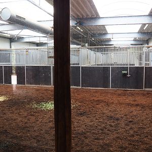 Okapi indoor housing, 2019-09-15