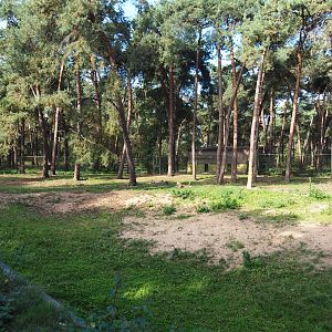 Spotted hyena exhibit, 2019-09-15