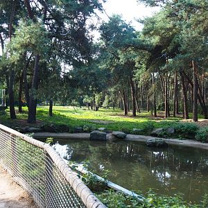 Spotted hyena exhibit, 2019-09-15