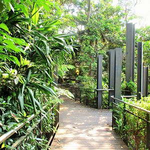 Pathway to Rainforest Aviary
