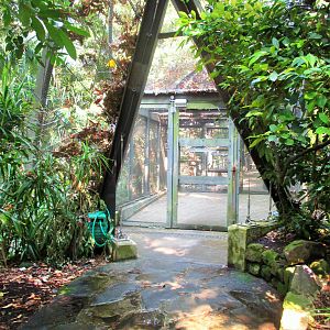 Rainforest Aviary Entrance