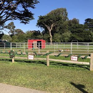 Temporary reindeer paddock