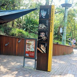 Australian Nightlife Entrance