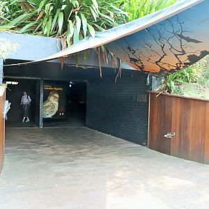 Australian Nightlife Entrance