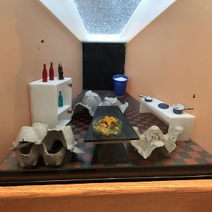 American cockroach tank