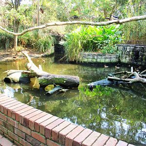 Waterbird Enclosure