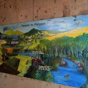 Threats to Platypus Sign