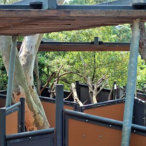 Koala Enclosures