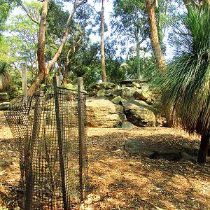 Australian Walk-thru