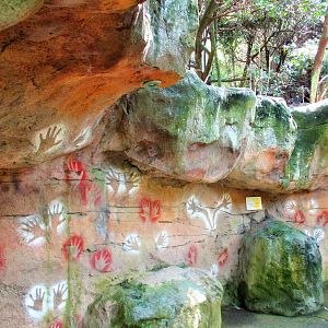 Blue Mountains Bushwalk- Rock Artwork