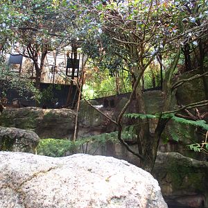 Blue Mountains Bushwalk