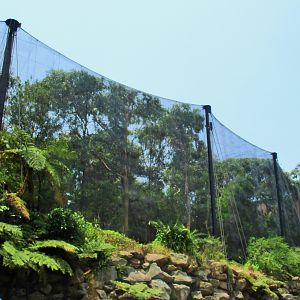 Blue Mountains Bushwalk Aviary