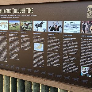 Horse history signage
