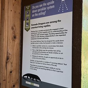 Komodo dragon intelligence signage