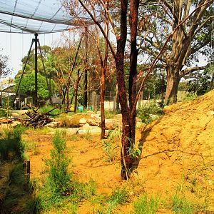 New Walk-through Aviary