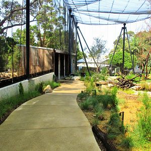 New Walk-through Aviary