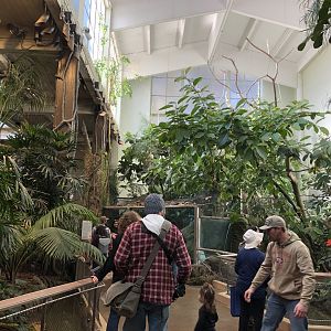 South American Tropical Rainforest & Aviary interior